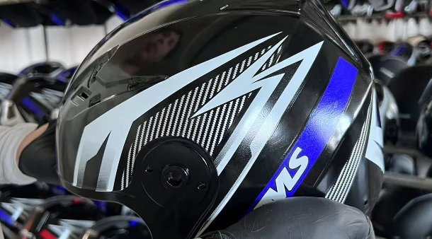 logo and decor Inspection-Lion Shield