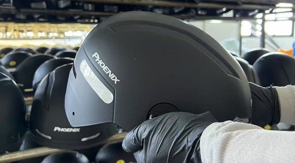 helmet_Paint Color Inspection-Lion shield